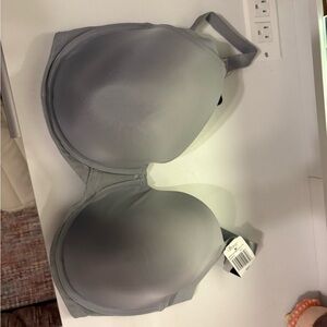 Paramour Felina Gray T-Shirt Bra 36G